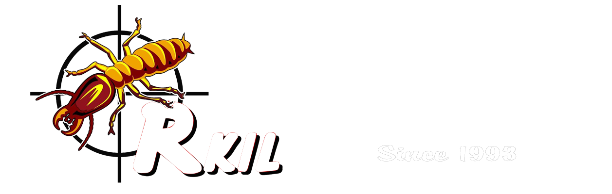 logo_website